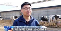 <b>“牛脸识别”帮力农业安全 财产成长无效率更有</b>