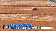 【正在但愿的郊野上·三夏时节】科技赋能 帮力