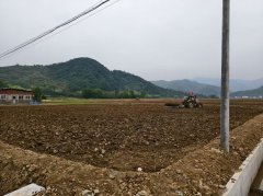 破茧成蝶绘就新画卷 ——咸安区“小田并大田”